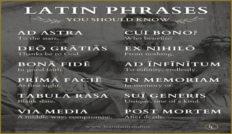 A Profile Of A Latin Beauty